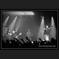 DMF 11 Tanzwut (10)