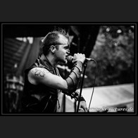 HR_D80_3267