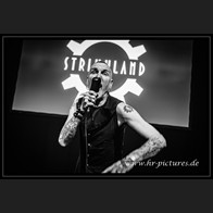 20240316_Strikkland_025