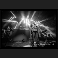 20240913_SolitaryExperiments_005