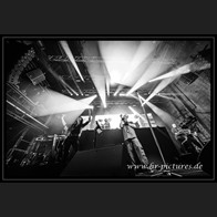 20240913_SolitaryExperiments_045