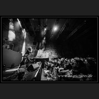 20240913_SolitaryExperiments_076