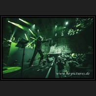20240913_SolitaryExperiments_078