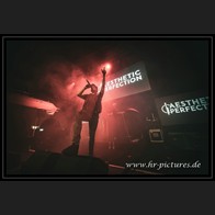 20250315_EOnly_AestheticPerfection_029