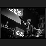 20250315_EOnly_AestheticPerfection_044