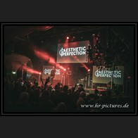 20250315_EOnly_AestheticPerfection_059