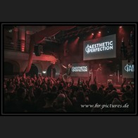 20250315_EOnly_AestheticPerfection_068