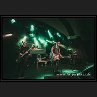 202500608_WGT_Morphose_20