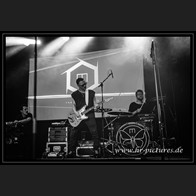 202500608_WGT_Morphose_32