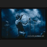 202500608_WGT_Morphose_49