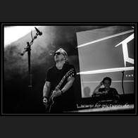 202500608_WGT_Morphose_69