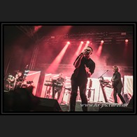 20250609_WGT_Camouflage_10