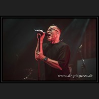 20250609_WGT_Camouflage_15