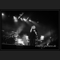 20250609_WGT_Camouflage_30