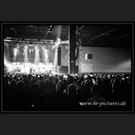 20250609_WGT_Camouflage_47