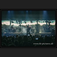 20250609_WGT_Camouflage_50