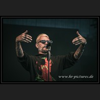20250705_Eastside_CatRapesDog_03
