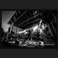 20250705_Eastside_CatRapesDog_15