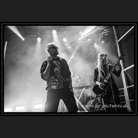 20250705_Eastside_CatRapesDog_27