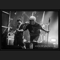 20250705_Eastside_CatRapesDog_31