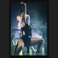 202500815_Scooter_74