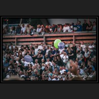 202500816_PurpleDiscoMachine_04