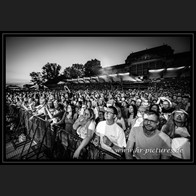 202500816_PurpleDiscoMachine_28