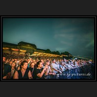 202500816_PurpleDiscoMachine_35