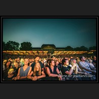 202500816_PurpleDiscoMachine_36