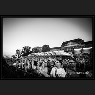 202500816_PurpleDiscoMachine_51