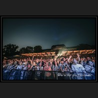 202500816_PurpleDiscoMachine_75