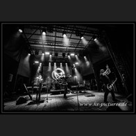 20250905_MenWithoutHats643