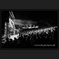 20250907_Camouflage_69