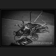 20251108_KCF_BlackNailCabaret_30