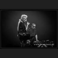 20251115_CHF_Selofan_036