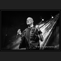 20251227_EDA_Leaetherstrip_32