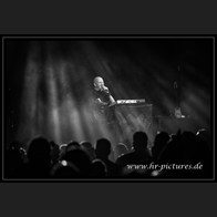 20251227_EDA_Leaetherstrip_41