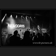 20251227_EDA_NerOgris_35