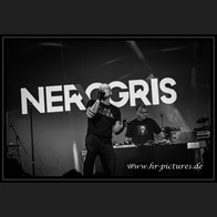 20251227_EDA_NerOgris_37