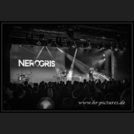 20251227_EDA_NerOgris_40