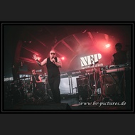 20260418_DMF_NitzerEbb_38