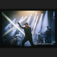 20260703_ESF_NitzerEbb_16