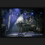 20260717_Sieben_JoQuail_04