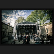 20260717_Sieben_JoQuail_20