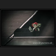 2026087_ForcedToMode_073