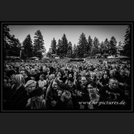 2026087_Gulvoss_40